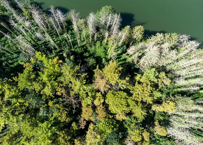 Villa La Wellness Hastiere-par-dela